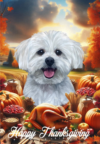 Maltese - Best of Breed  Thanksgiving Outdoor House and Garden Flag