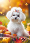 Maltese - Best of Breed DCR Falling Leaves Outdoor Flag