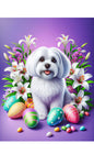 Maltese - Best of Breed DCR Easter Holiday    Outdoor House and Garden Flag