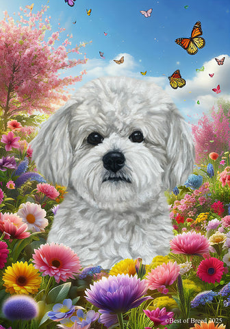 Maltipoo - Best of Breed  Spring Butterflies Outdoor House and Garden Flag