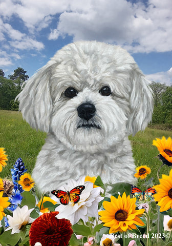 Maltipoo - Best of Breed  Summer Fields Outdoor House and Garden Flag