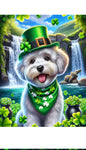 Maltipoo - Best of Breed DCR Saint Patricks Day Day Outdoor House and Garden Flag