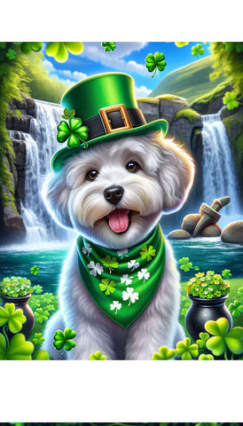 Maltipoo - Best of Breed DCR Saint Patricks Day Day Outdoor House and Garden Flag