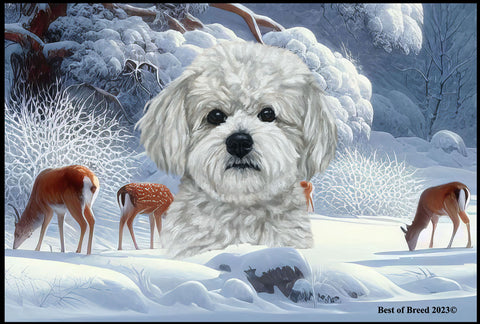 Maltipoo - Best of Breed Winter Wonderland Floor Mat Tufted Loop 18" x 27"