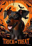 Manchester Terrier -  Best of Breed  Halloween Outdoor House and Garden Flag