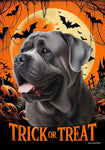 Mastiff Silver -  Best of Breed  Halloween Outdoor House and Garden Flag