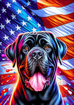 Mastiff Brindle - Best of Breed DCR Patriotic III   Outdoor House and Garden Flag