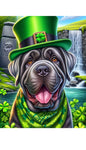 Mastiff Grey - Best of Breed DCR Saint Patricks Day Day Outdoor House and Garden Flag