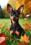 Miniature Pinscher Black and Tan Cropped - Best of Breed DCR Falling Leaves Outdoor Flag