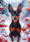 Miniature Pinscher Black and Tan Cropped - Best of Breed DCR Winter Berries Outdoor House and Garden Flag