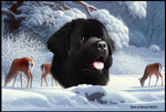 Newfoundland - Best of Breed Winter Wonderland Floor Mat Tufted Loop 18" x 27"