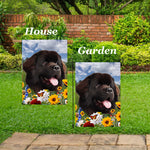 Newfoundland Chocolate -  Best of Breed  Summer Fields Outdoor House and Garden Flag