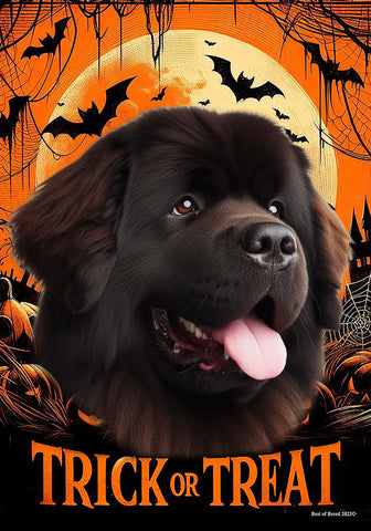 Newfoundland Chocolate -  Best of Breed  Halloween Outdoor House and Garden Flag