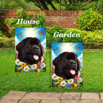 Newfoundland Chocolate -  Best of Breed  Summer Butterflies Outdoor House and Garden Flag