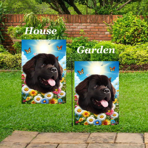 Newfoundland Chocolate -  Best of Breed  Summer Butterflies Outdoor House and Garden Flag