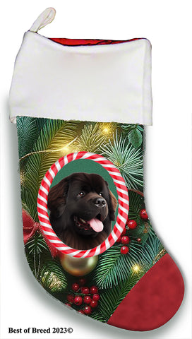 Newfoundland Chocolate -  Best of Breed  Christmas Stocking 13.5"  Red Gaming Cloth with Red Lining ,Plush White Cuff