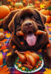 Newfoundland Chocolate - Best of Breed DCR Thanksgiving Outdoor House and Garden Flag