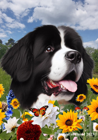 Newfoundland Landseer - Best of Breed  Summer Fields Outdoor House and Garden Flag