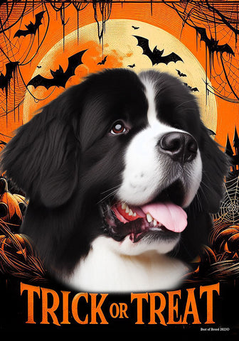 Newfoundland Landseer - Best of Breed  Halloween Outdoor House and Garden Flag