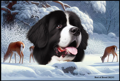 Newfoundland Landseer - Best of Breed Winter Wonderland Floor Mat Tufted Loop 18" x 27"