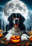 Newfoundland Landseer - Best of Breed DCR Halloween Outdoor House and Garden Flag