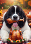 Newfoundland Landseer - Best of Breed DCR Thanksgiving Outdoor House and Garden Flag