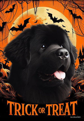 Newfoundland - Best of Breed  Halloween Outdoor House and Garden Flag