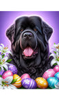 Newfoundland - Best of Breed DCR Easter Holiday    Outdoor House and Garden Flag