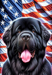 Newfoundland - Best of Breed DCR Patriotic III   Outdoor House and Garden Flag