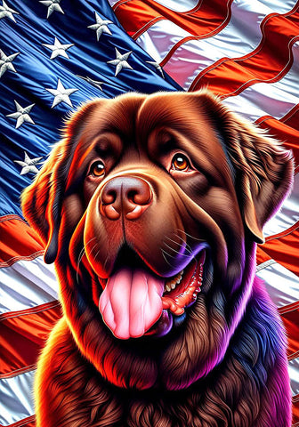 Newfoundland Chocolate - Best of Breed DCR Patriotic III   Outdoor House and Garden Flag
