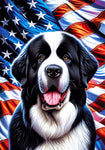 Newfoundland Landseer - Best of Breed DCR Patriotic III   Outdoor House and Garden Flag
