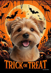 Norfolk Terrier - Best of Breed  Halloween Outdoor House and Garden Flag