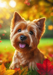 Norfolk Terrier - Best of Breed DCR Falling Leaves Outdoor Flag