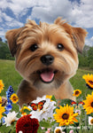 Norfolk Terrier - Best of Breed  Summer Fields Outdoor House and Garden Flag