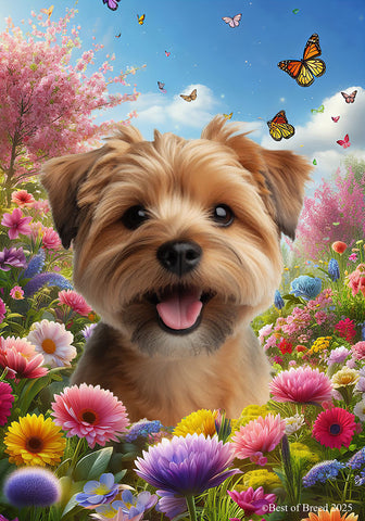 Norfolk Terrier - Best of Breed  Spring Butterflies Outdoor House and Garden Flag