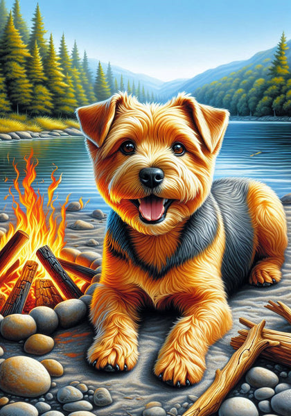 Norfolk Terrier - Best of Breed DCR Summer Camping   Outdoor House and Garden Flag