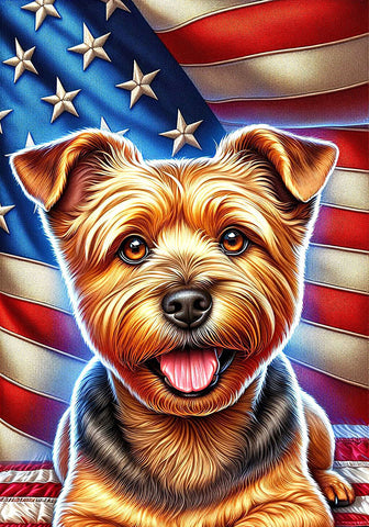 Norfolk Terrier - Best of Breed DCR Patriotic III   Outdoor House and Garden Flag