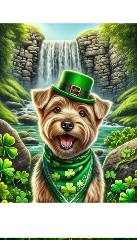 Norfolk Terrier - Best of Breed DCR Saint Patricks Day Day Outdoor House and Garden Flag