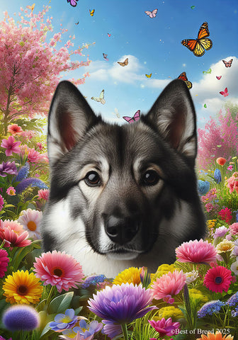 Norwegian Elkhound -  Best of Breed  Spring Butterflies Outdoor House and Garden Flag