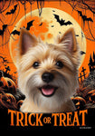 Norwich Terrier - Best of Breed  Halloween Outdoor House and Garden Flag