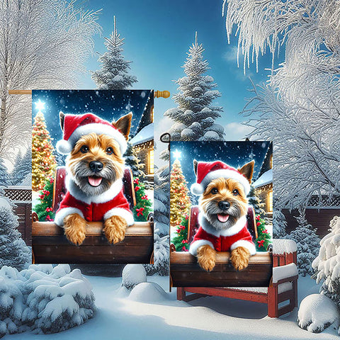 Norwich Terrier - Best of Breed DCR Christmas Outdoor House and Garden Flag