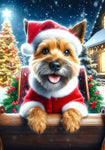 Norwich Terrier - Best of Breed DCR Christmas Outdoor House and Garden Flag