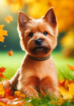 Norwich Terrier - Best of Breed DCR Falling Leaves Outdoor Flag