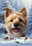 Norwich Terrier - Best of Breed  Winter Wonderland Outdoor House and Garden Flag