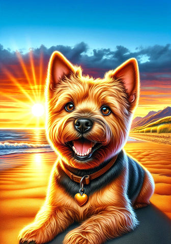Norwich Terrier - Best of Breed DCR Summer Sunset Outdoor House and Garden Flag