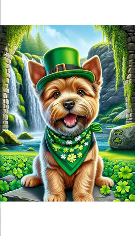 Norwich Terrier - Best of Breed DCR Saint Patricks Day Day Outdoor House and Garden Flag