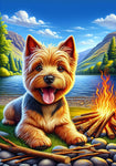 Norwich Terrier - Best of Breed DCR Summer Camping   Outdoor House and Garden Flag