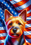 Norwich Terrier - Best of Breed DCR Patriotic III   Outdoor House and Garden Flag