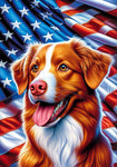 Nova Scotia Duck Tolling - Best of Breed DCR Patriotic III   Outdoor House and Garden Flag