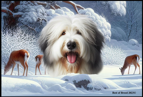 Old English Sheepdog - Best of Breed Winter Wonderland Floor Mat Tufted Loop 18" x 27"